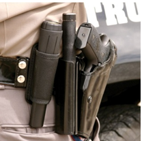 Garrett THD Handheld Metal Detector - Image 4