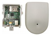 AWLS Sound Event Detection Solution
